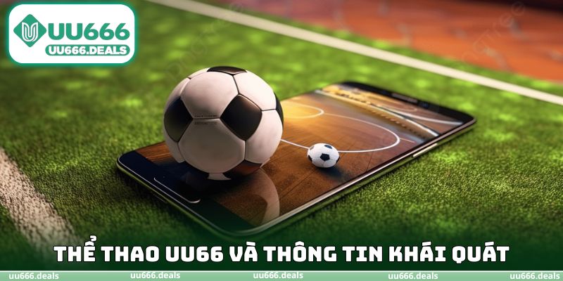 Chuyên mục thể thao UU66 và thông tin khái quát