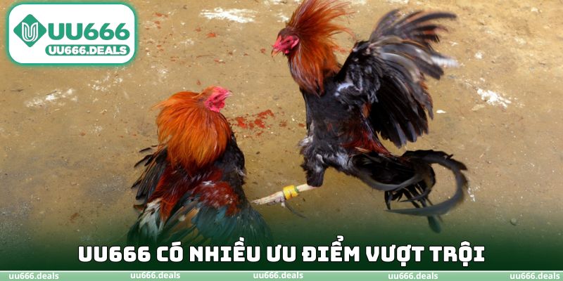 UU666 có nhiều ưu điểm vượt trội